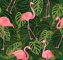 Flamingos