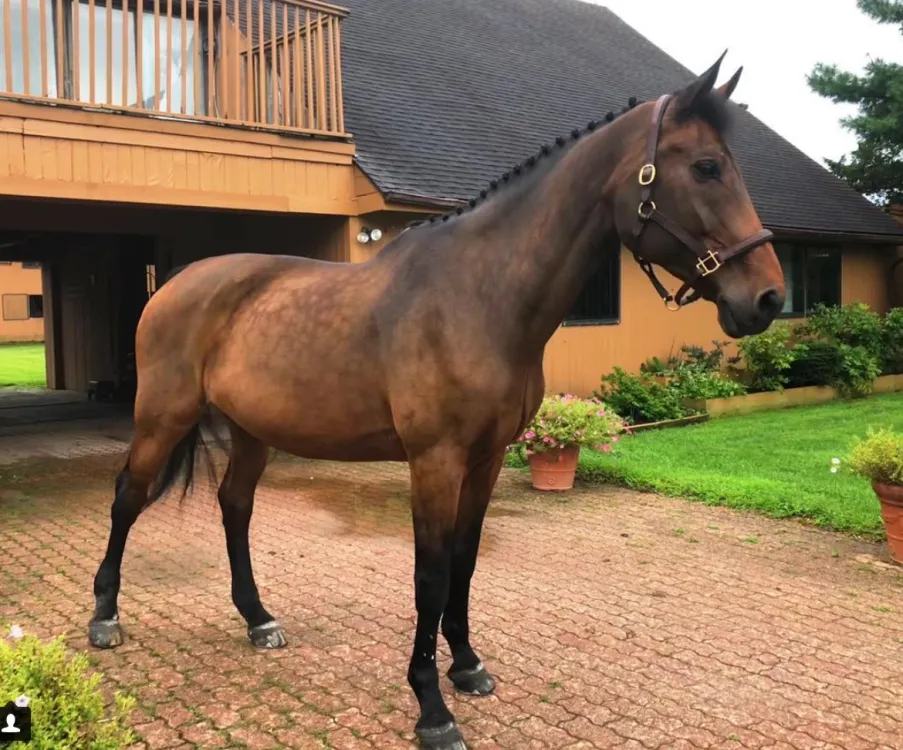 cr=w-1200,h-750,a-cc