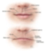 ree