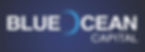 Blue Ocean logo copy_edited.jpg