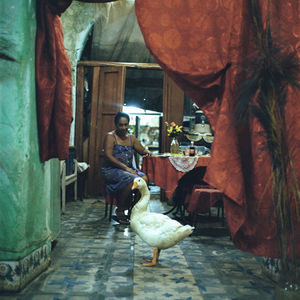 VIDA INTERIOR