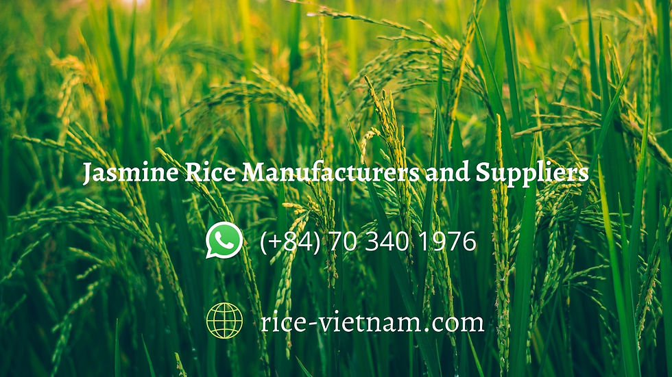 Jasmine Rice Manufacturers | Jasmine Rice Supplier