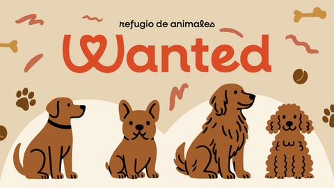 Wanted - Animal Shelter