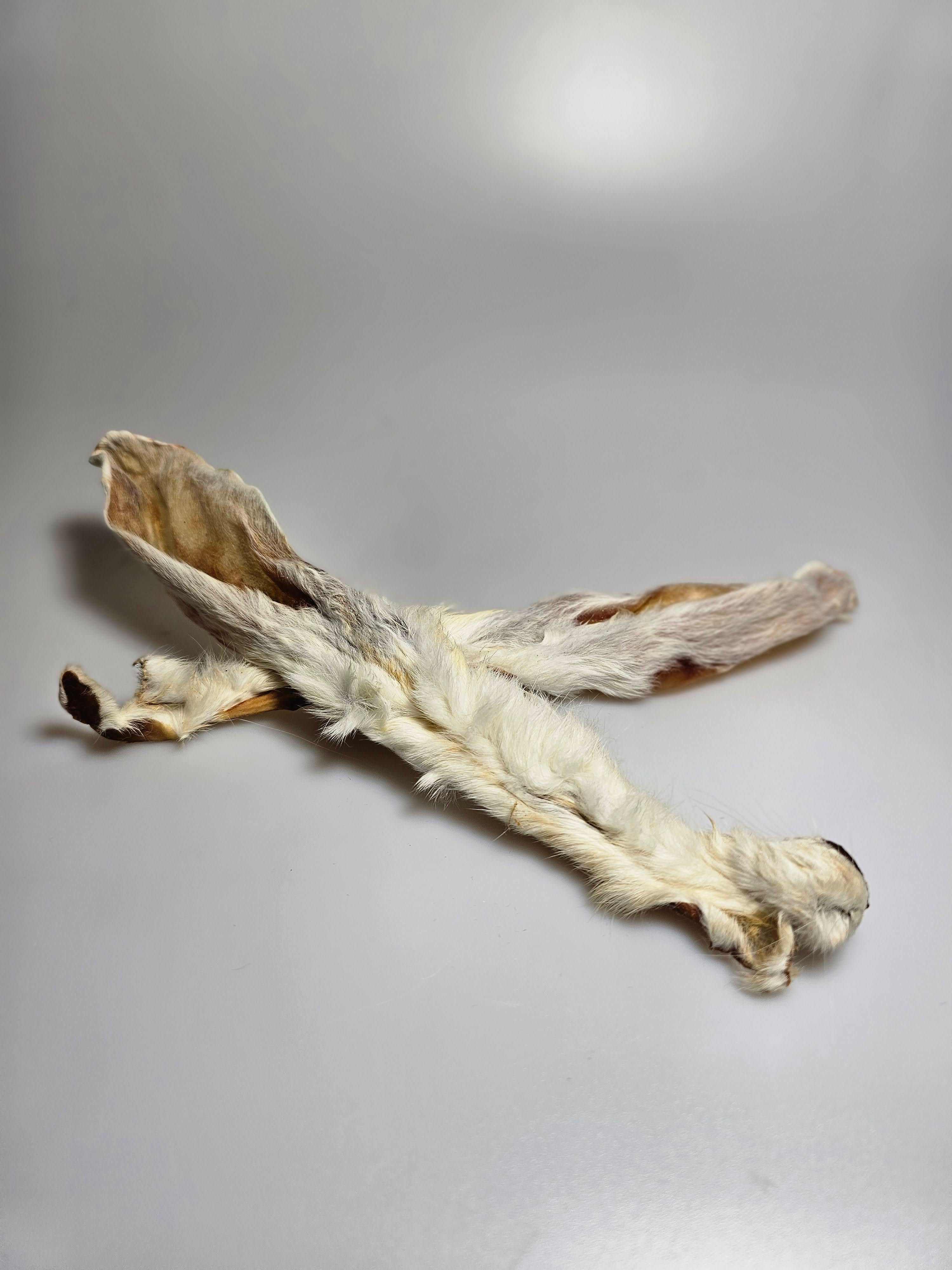 Premium Kaninchen‑Ohren mit Fell – naturbelassener Kausnack für Hunde