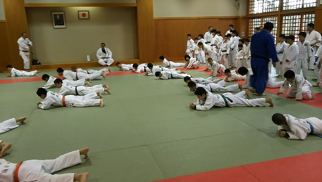 Calentamiento dojo.