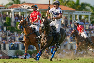 20260301 CVWF 0490.jpg