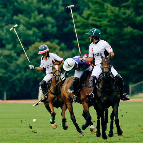 Greenwich Polo Club-Sunday Polo