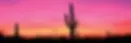 Organ-Pipe-Cactus-National-Monument-Arizona.webp