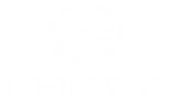cf-moto logo