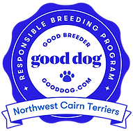 northwest-cairn-terriers-badge.png