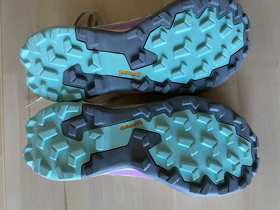 Thumbnail: adidas Terrex Brown Skychaser AX5 Gore Tex Women’s Walking Shoes - UK Size 5.5