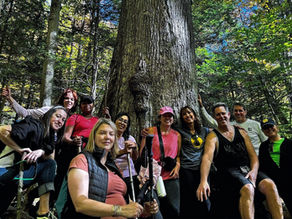 Small group of guests hiking together on a wooded trail at a fall yoga retreat in New England