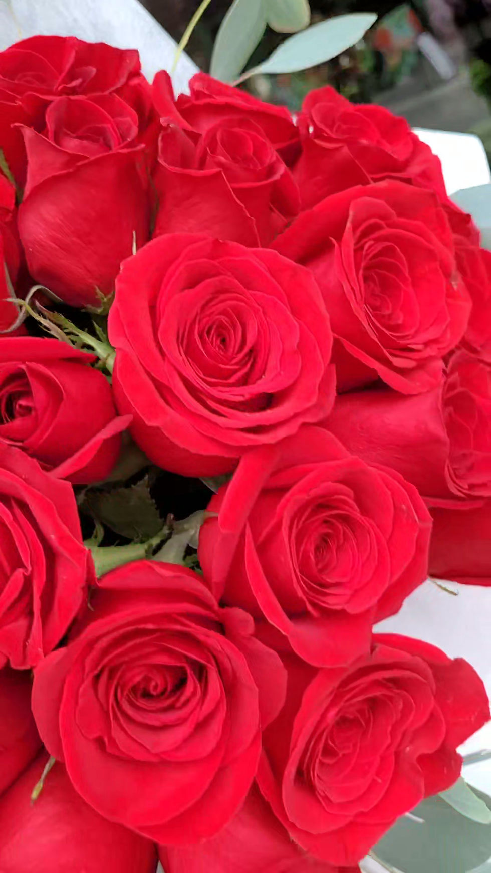 Thumbnail: The Grand Rose Bouquet