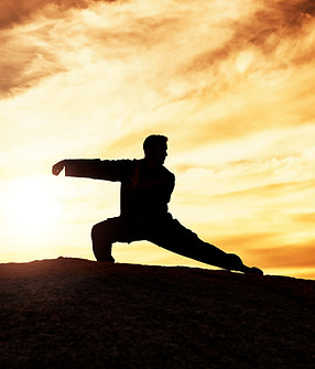 tai chi classes for adults, qigong classes, tai chi near me, schools of kung fu iwka mastering body mind & energy