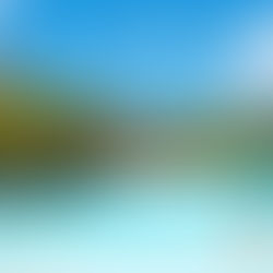 Walt Disney World Resort Introduces New Water Park and Sports Ticket Option