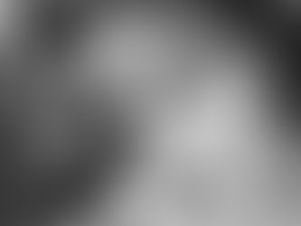 The Animation Experience at Conservation Station begins July 11, 2019