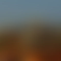 Luxury: German Adventure