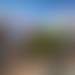 Four Neighborhoods Will Welcome Guests to Pixar Pier this Summer at Disney California Adventure Park