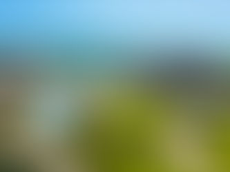 Dreams Playa Mujeres Golf & Spa Resort