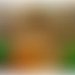 New Details Revealed on Restaurants Coming to Epcot and Disney’s Hollywood Studios