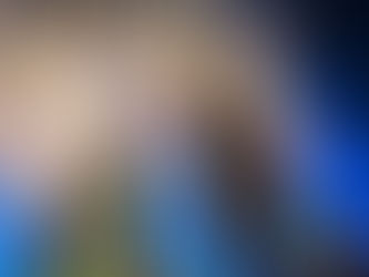 Why you need to book your Walt Disney World vacation through a travel agent who specializes in Disne