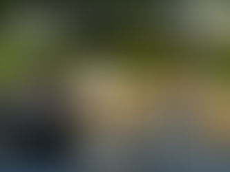 Mermaid School, a New Chocolate Workshop and More Fun Activities Set to Bloom at Walt Disney World