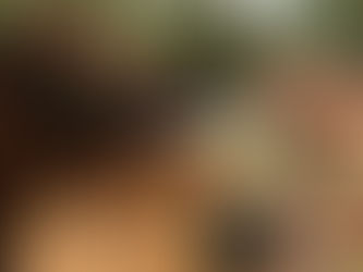 Rafiki’s Planet Watch Reopens this Summer at Disney’s Animal  Kingdom