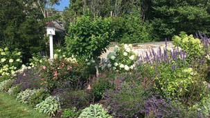 Beach Pollinator Garden