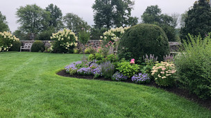 Perennial Border Garden
