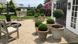Boxwood Containers