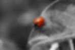 Picsart_25-06-03_12-46-56-509.jpg
