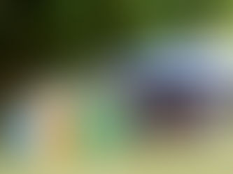 Umelecký festival v Trenčianskych Tepliciach sa zapojil do boja proti odpadu