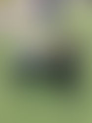 Learning Outside The Classroom - Maths