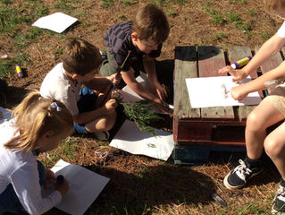 Y1 'All About Me' Topic Impact Day