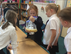 Pine Science Experiment    Our Digestive System