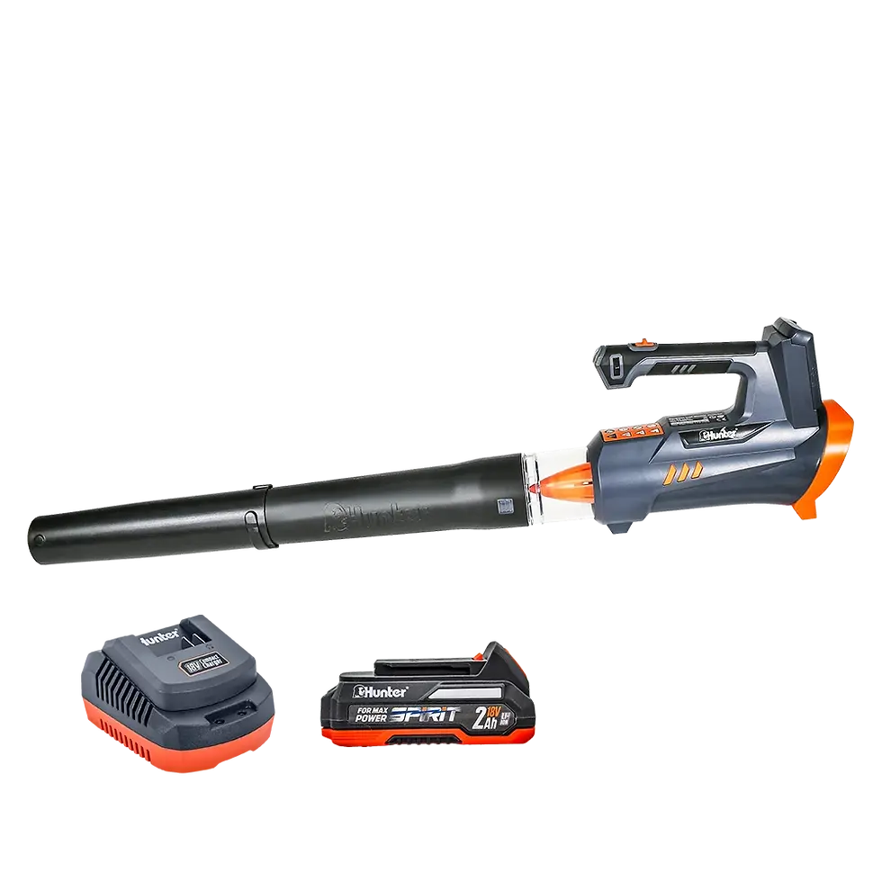 תמונה ממוזערת: מפוח עלים נטען 180W 18V - סוללה 2 Ah | מטען 3A HUNTER