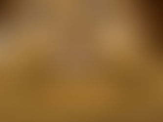 Varejo de Luxo: O que é e como investir nesse mercado?