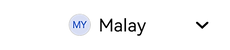 Wix Language Button_H5-MS.png