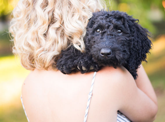 Puppy_photo_dog_mom
