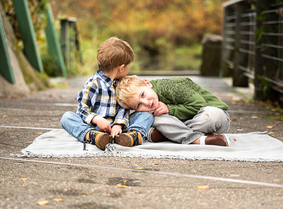 Brothers_fall