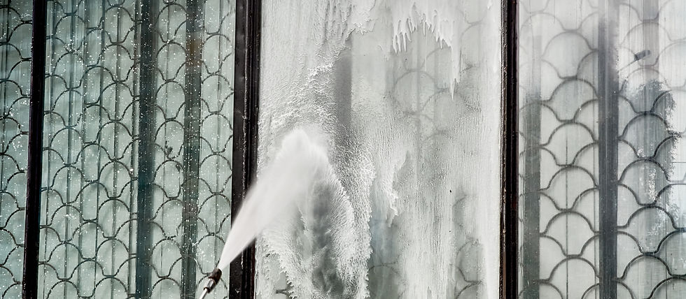 window cleaning with friendly solutions