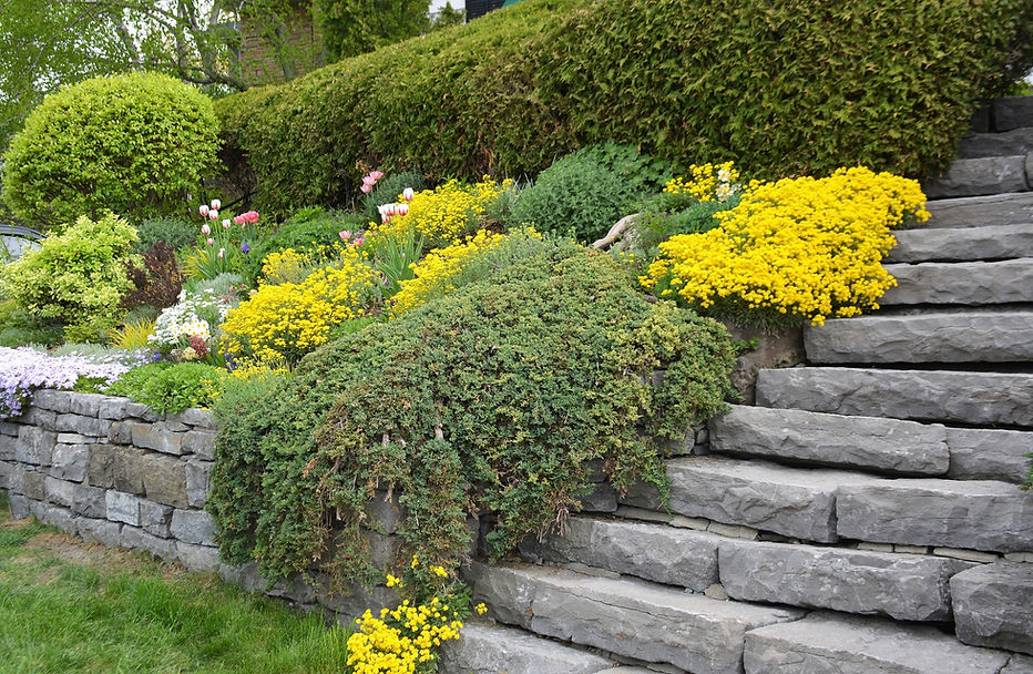 Field stone retaining wall and staircase with landscaping at entrance to a home.jpg