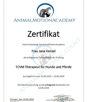 Zertifikat TCVM Therapeut 
