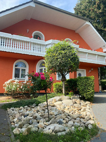 house from the garden