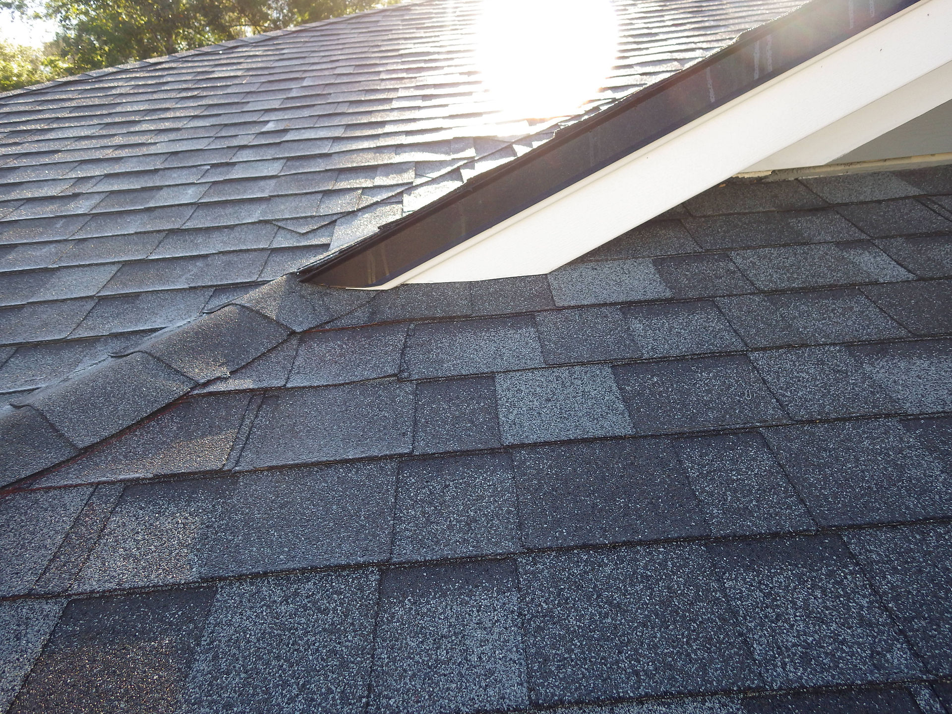 Roof Shingles