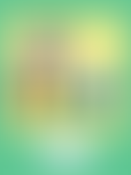 [Changemaker Series] Digital Lives, Real Costs: Why Sustainability Must Account for Labor, Water, and Community Displacement - An Interview with Dr. Tamara Kneese