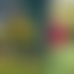 Optimal Sports Nutrition: A Guide for Youth Footballers and Their Parents