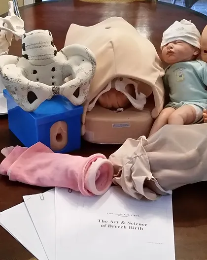 Midwife Workshop Weekend!