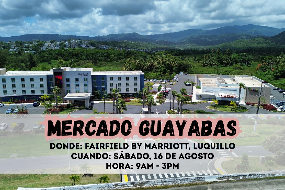Mercado Guayabas.png