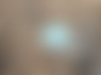 PUSD Student Highlights Lessons Learned.....